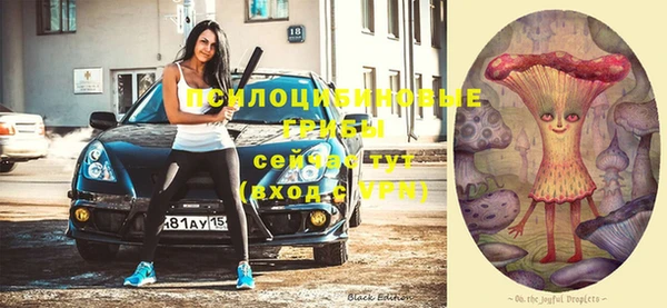 прущая мука Дубна