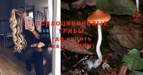 круглые Богородск